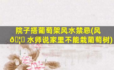 院子搭葡萄架风水禁忌(风 🦆 水师说家里不能栽葡萄树)